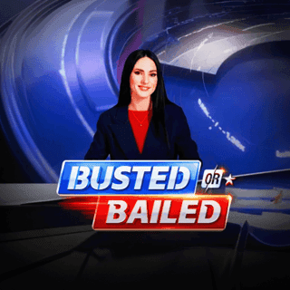 Busted or Bailed icon